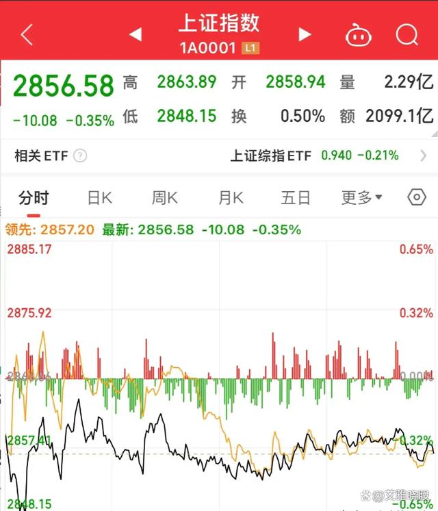 浙江队胜率攀升，未来发展增添信心的简单介绍